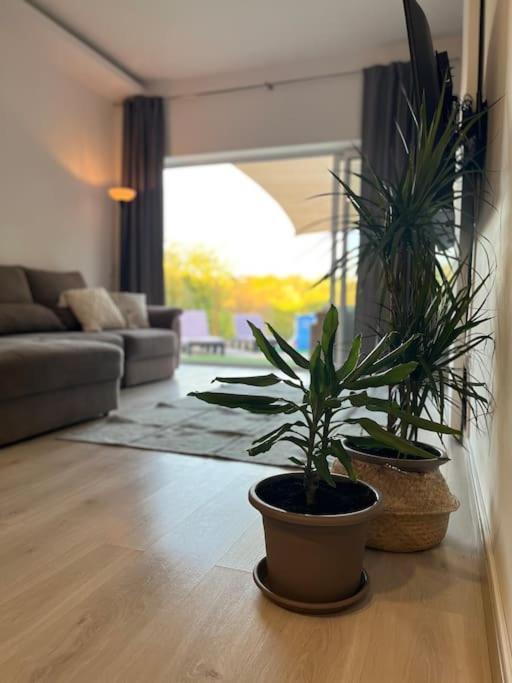 Quinta Da Alfarrobeira Peaceful Countryside Stay 파로 외부 사진