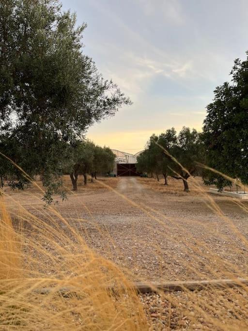 Quinta Da Alfarrobeira Peaceful Countryside Stay 파로 외부 사진