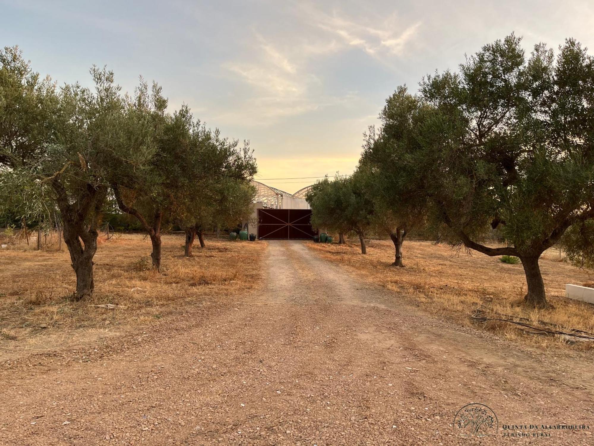 Quinta Da Alfarrobeira Peaceful Countryside Stay 파로 외부 사진